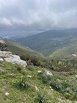 IMG_4278