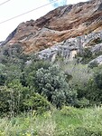 IMG_7518