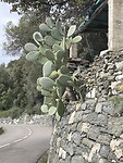 IMG_7526