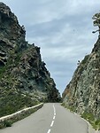 IMG_7531