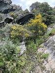 IMG_7534