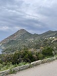 IMG_7533