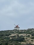 IMG_4283