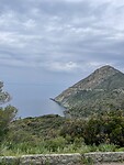 IMG_7532