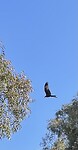 IMG_7560
