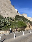 IMG_4315