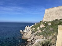 IMG_4319