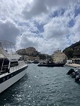 IMG_4425