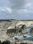 IMG_4431