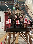 IMG_4439