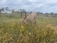 IMG_4540