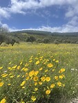 IMG_4577