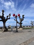 IMG_4560