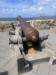 IMG_4568