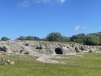 IMG_4589