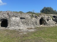 IMG_4591