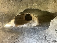 IMG_4594