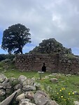 IMG_4599