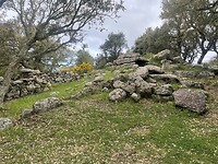 IMG_4602