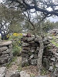 IMG_4605