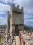 IMG_4653