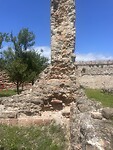 IMG_4655