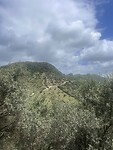 IMG_4656