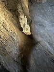 IMG_4713