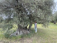 IMG_4716