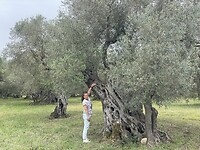 IMG_4719