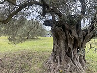 IMG_4720