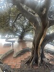IMG_4735