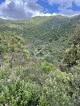 IMG_4745