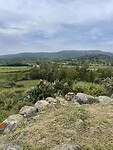 IMG_4802