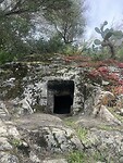IMG_4806
