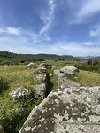 IMG_4809