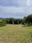 IMG_4811