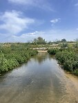 IMG_4813