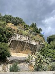 IMG_4874