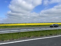 IMG_6193