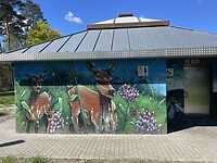 IMG_6205