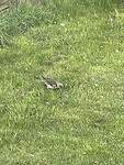 IMG_6210