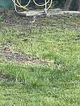 IMG_6208