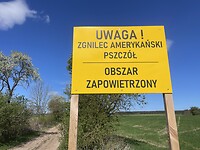 IMG_6217