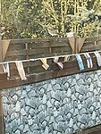 IMG_6219