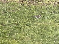 IMG_6220