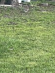 IMG_6209