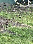 IMG_6207