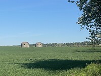 IMG_6223