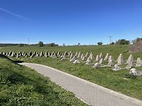 IMG_6225